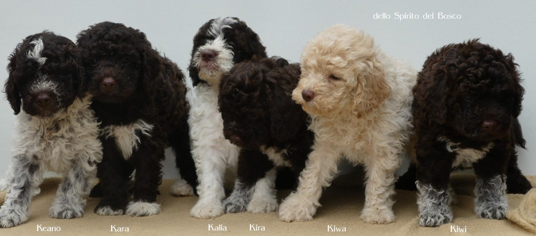 Alle_6WochenmitNamen